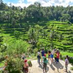 Things To Do In Ubud